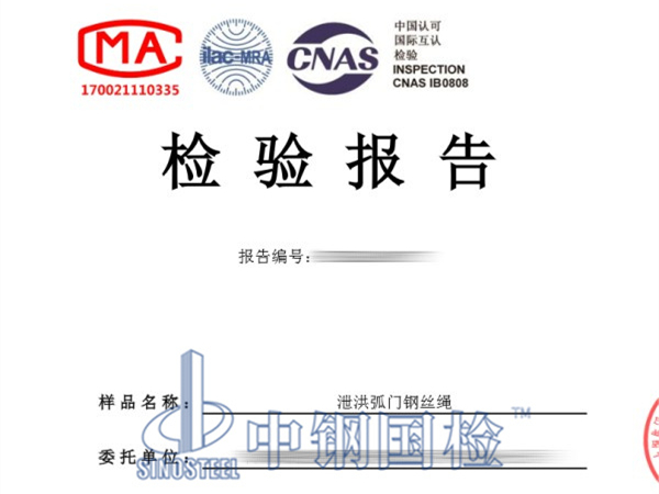 泄洪弧門鋼絲繩無損檢測報告
