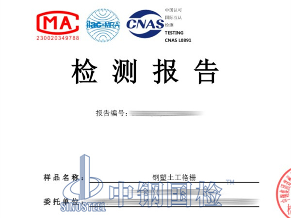 鋼塑土工格柵檢測報告