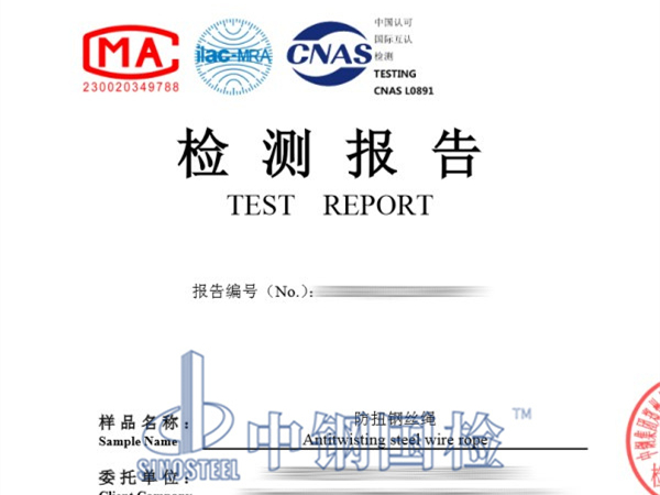 懸挑架鋼絲繩送檢